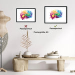 Gehirn Anatomie - Rainbow - Animus Medicus GmbH