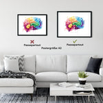 Gehirn Anatomie - Rainbow - Animus Medicus GmbH