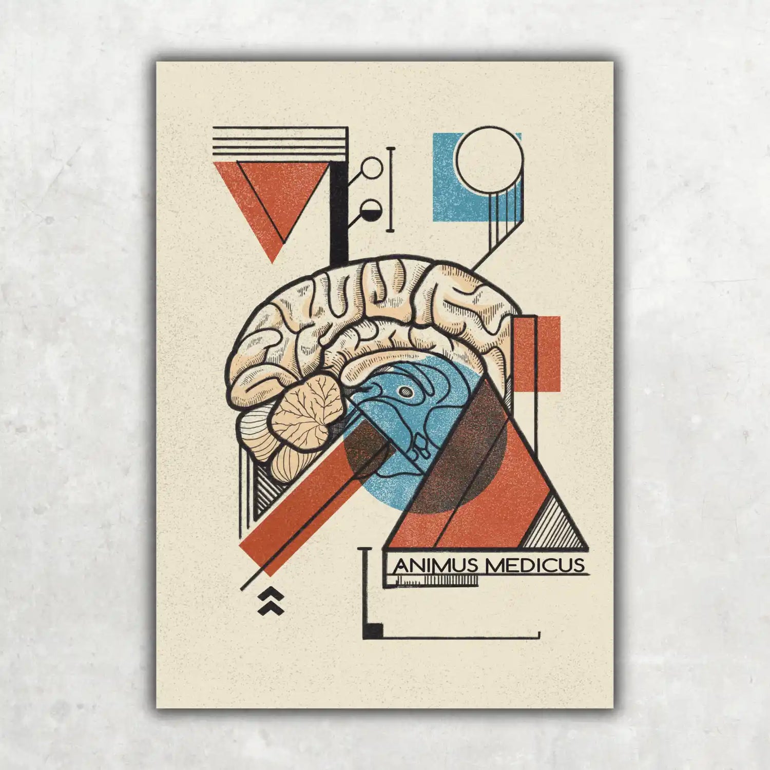 Gehirn - Bauhaus Edition - Animus Medicus GmbH