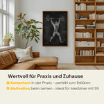Gewichtheben Anatomie Poster - Chalkboard - Animus Medicus GmbH