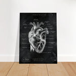 Herz Anatomie Chalkboard - Leinwand - Animus Medicus GmbH