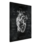 Herz Anatomie Chalkboard - Leinwand - Animus Medicus GmbH