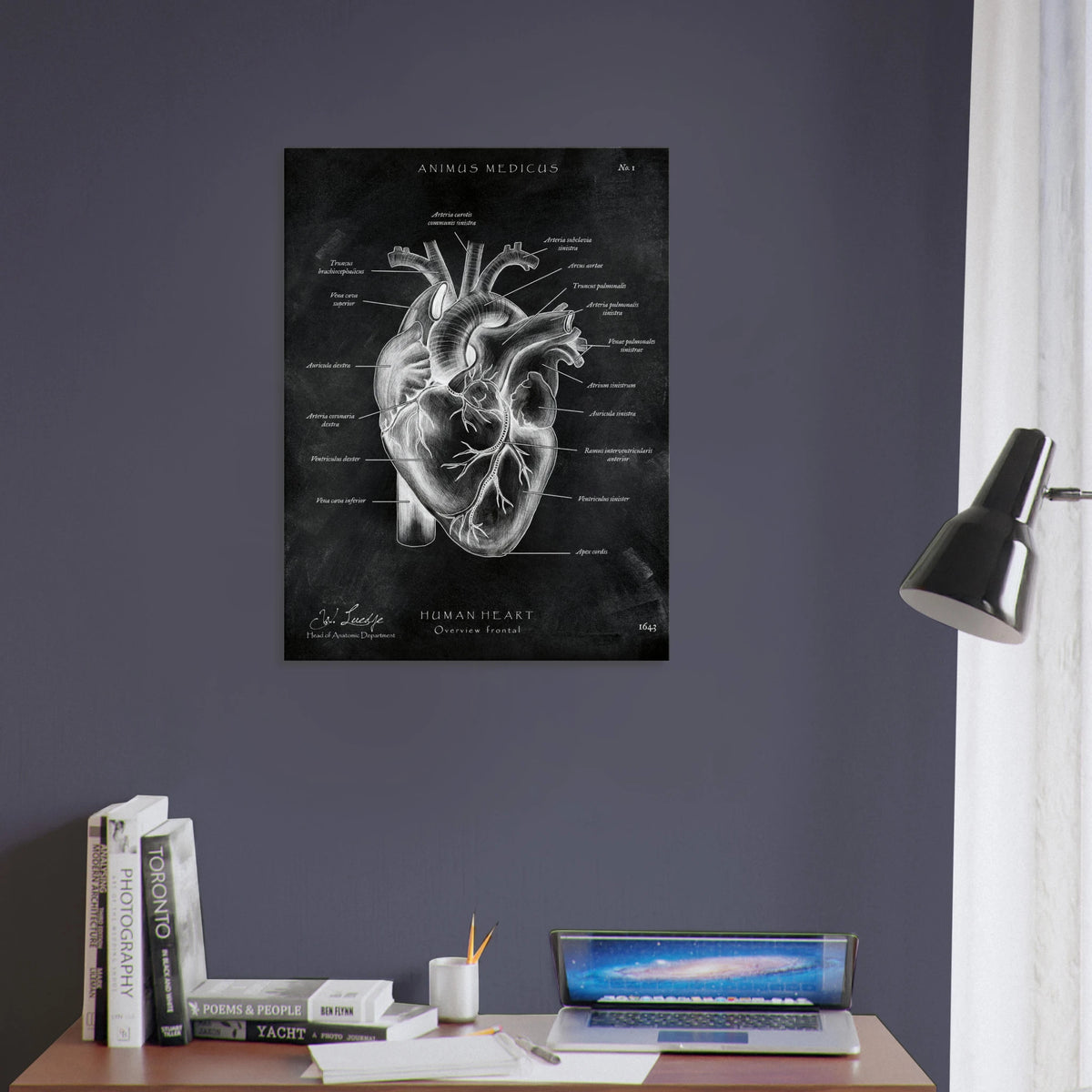 Herz Anatomie Chalkboard - Leinwand - Animus Medicus GmbH