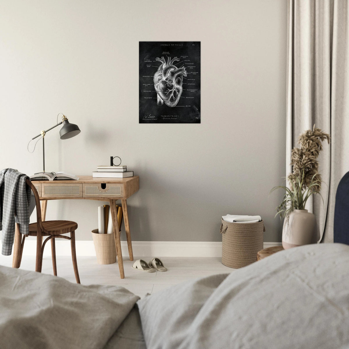 Herz Anatomie Chalkboard - Leinwand - Animus Medicus GmbH