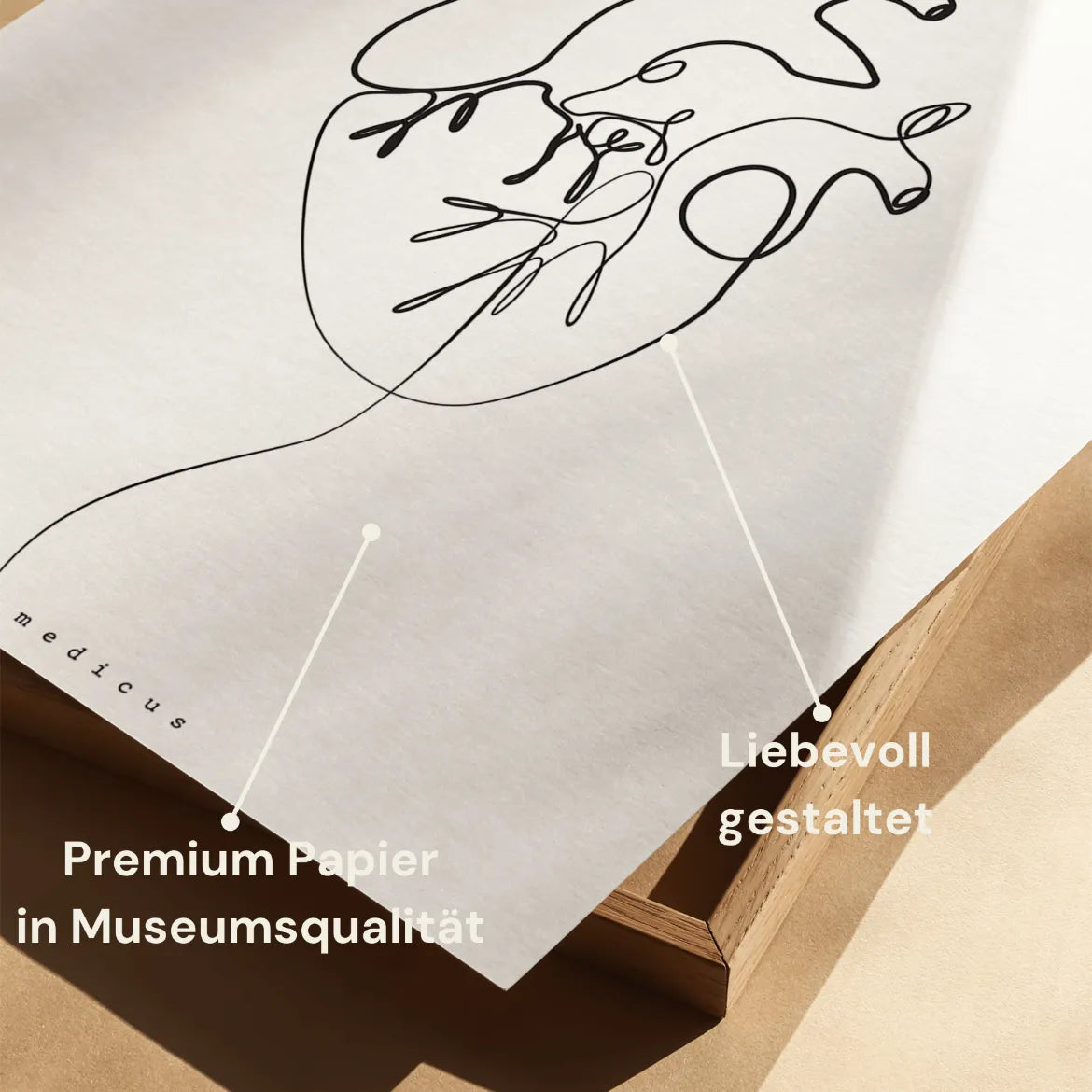 Herz Anatomie Minimalist - Animus Medicus GmbH