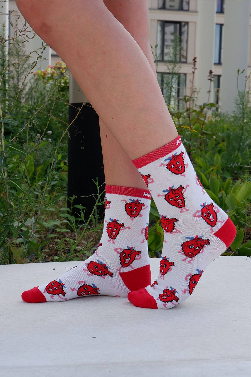 Herz Anatomie Socken aus Bio-Baumwolle - Animus Medicus GmbH