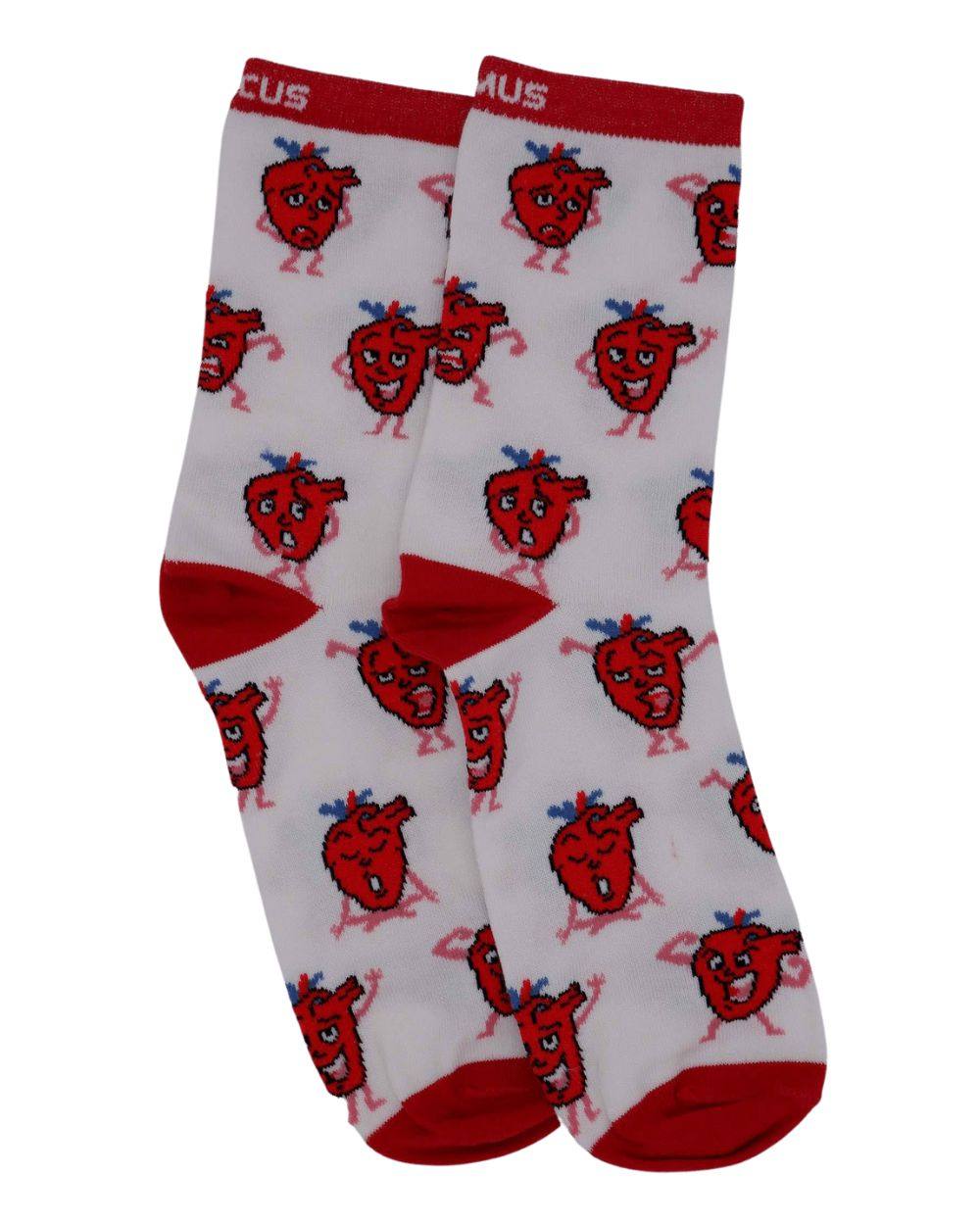 Herz Anatomie Socken aus Bio-Baumwolle - Animus Medicus GmbH
