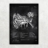HNO Sammlung - Chalkboard - Animus Medicus GmbH