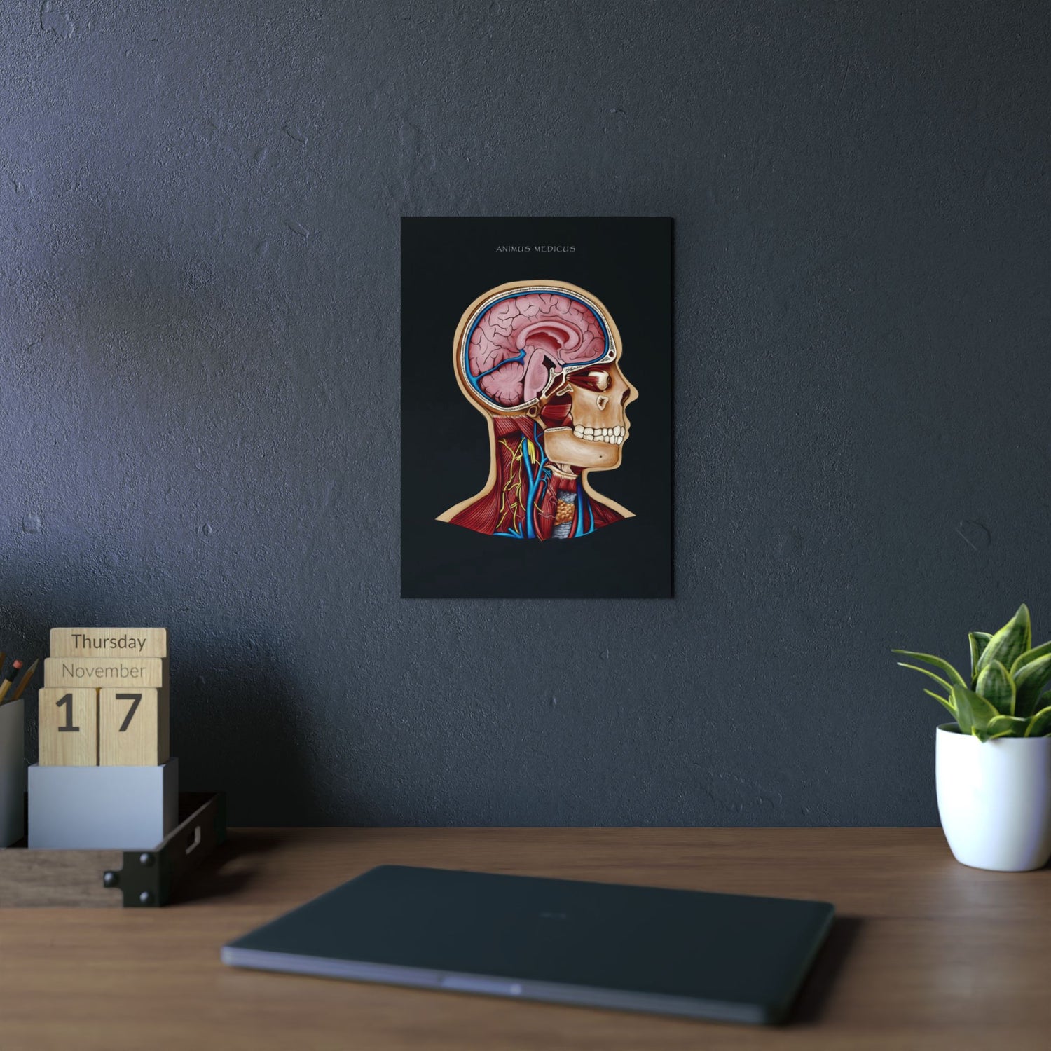 LIMITED - Aluminium Print mit exklusiven limited Design - Animus Medicus GmbH