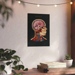 LIMITED - Aluminium Print mit exklusiven limited Design - Animus Medicus GmbH