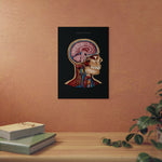 LIMITED - Aluminium Print mit exklusiven limited Design - Animus Medicus GmbH