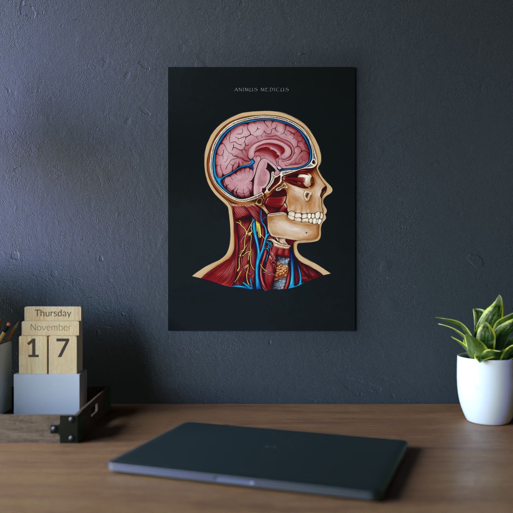 LIMITED - Aluminium Print mit exklusiven limited Design - Animus Medicus GmbH