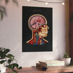 LIMITED - Aluminium Print mit exklusiven limited Design - Animus Medicus GmbH