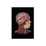 LIMITED - Aluminium Print mit exklusiven limited Design - Animus Medicus GmbH