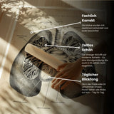 Lungen Anatomie - Animus Medicus GmbH