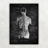 MediCare Bundle Chalkboard - Animus Medicus GmbH