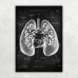 MediCare Bundle Chalkboard - Animus Medicus GmbH