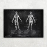 MediCare Bundle Chalkboard - Animus Medicus GmbH