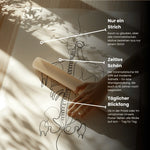 Rücken Anatomie Minimalist - Animus Medicus GmbH