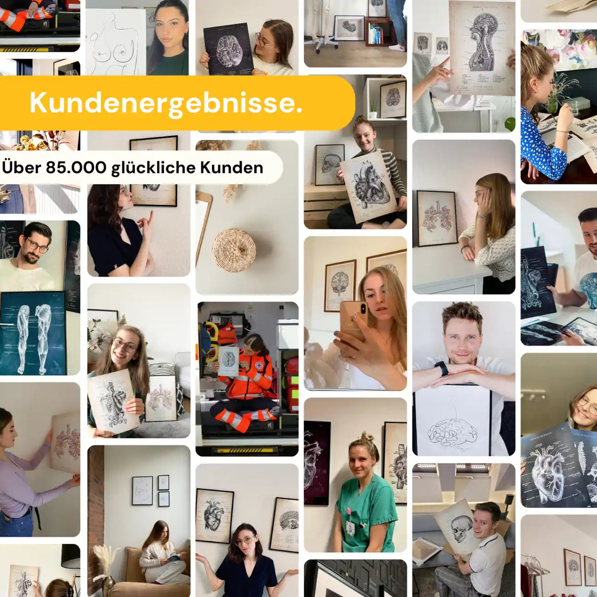 Schädel - Reallife - Animus Medicus GmbH