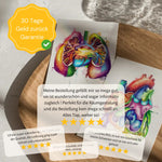 Schädel - Reallife - Animus Medicus GmbH