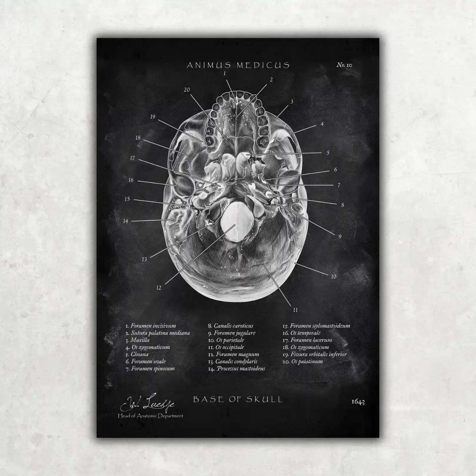 Medizinstudium Starterset - Chalkboard