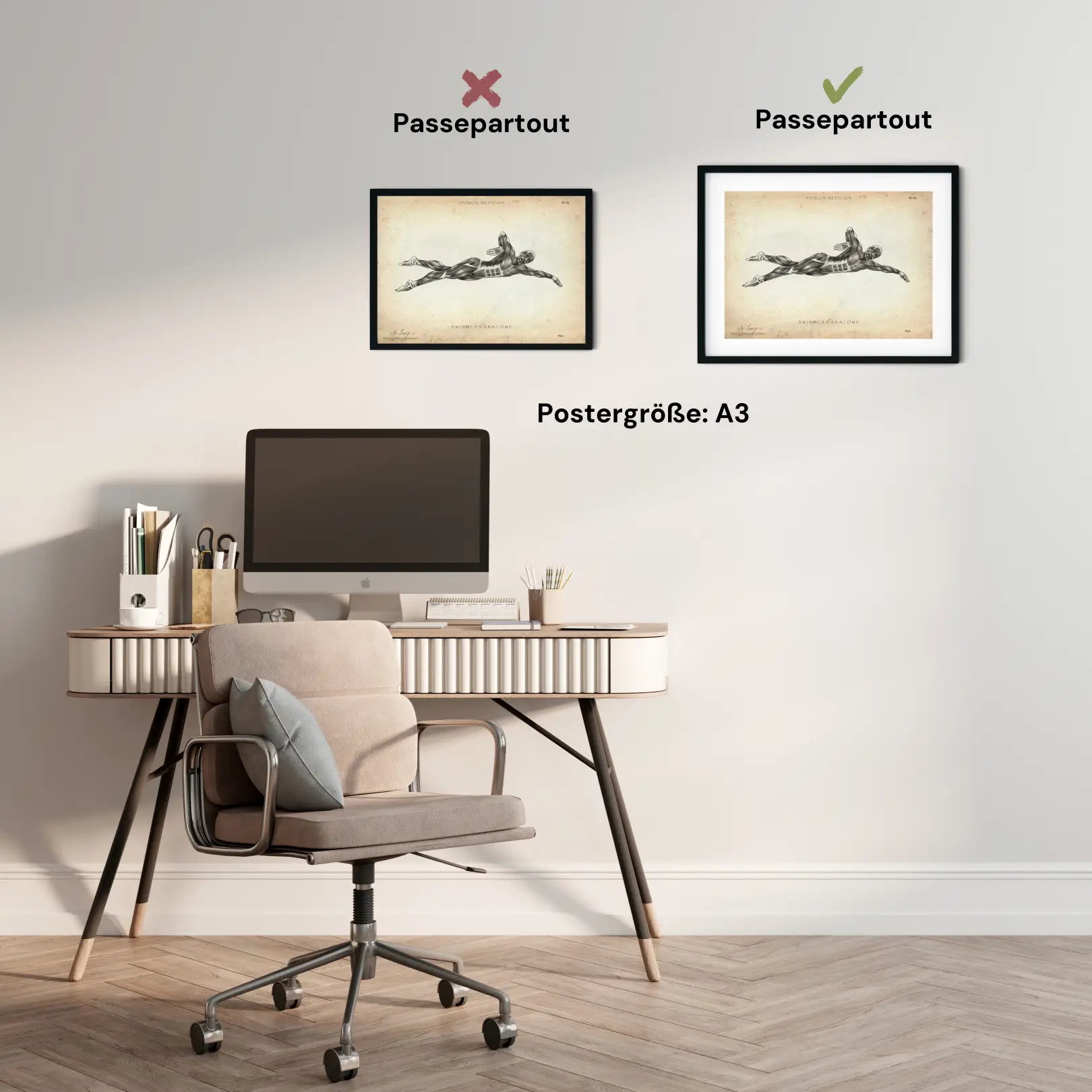 Schwimmen Anatomie Poster - Animus Medicus GmbH