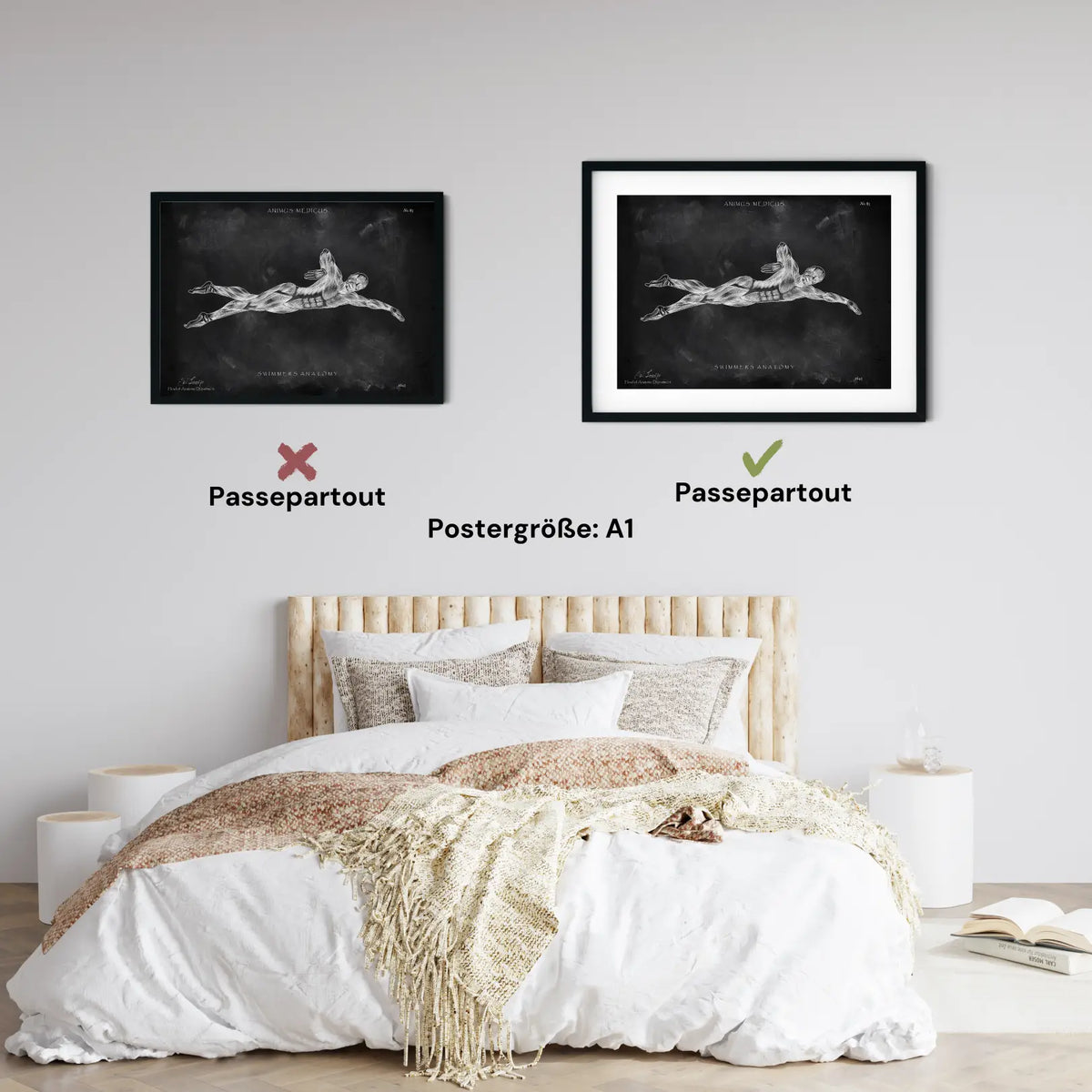 Schwimmen Anatomie Poster - Chalkboard - Animus Medicus GmbH