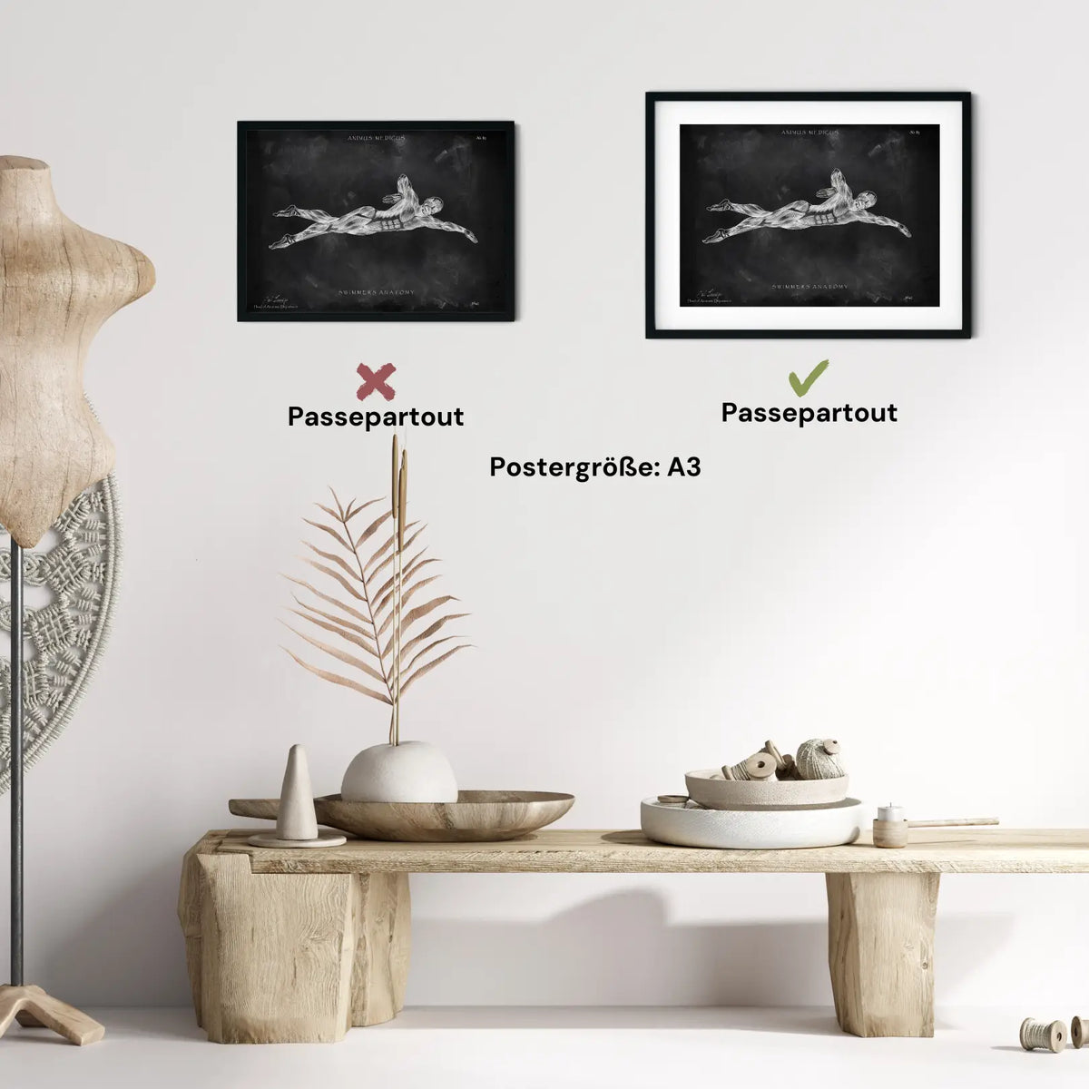 Schwimmen Anatomie Poster - Chalkboard - Animus Medicus GmbH