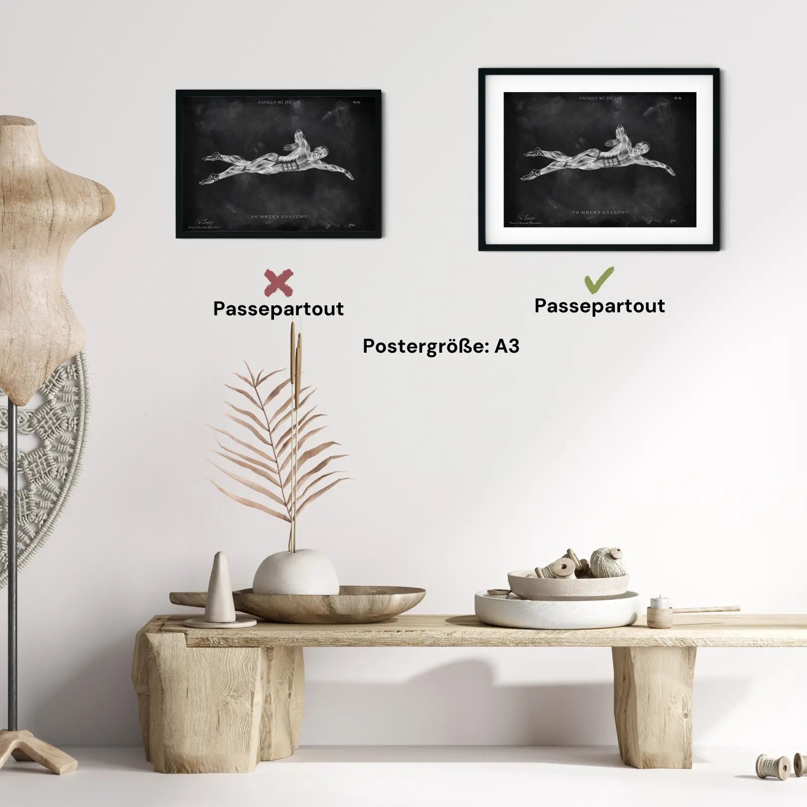 Schwimmen Anatomie Poster - Chalkboard - Animus Medicus GmbH