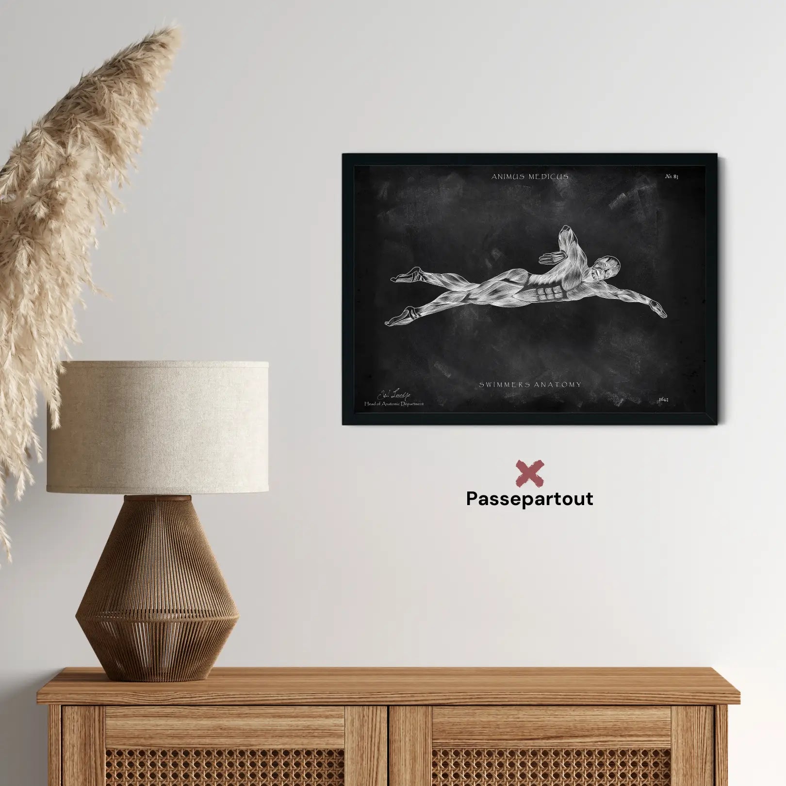 Schwimmen Anatomie Poster - Chalkboard - Animus Medicus GmbH