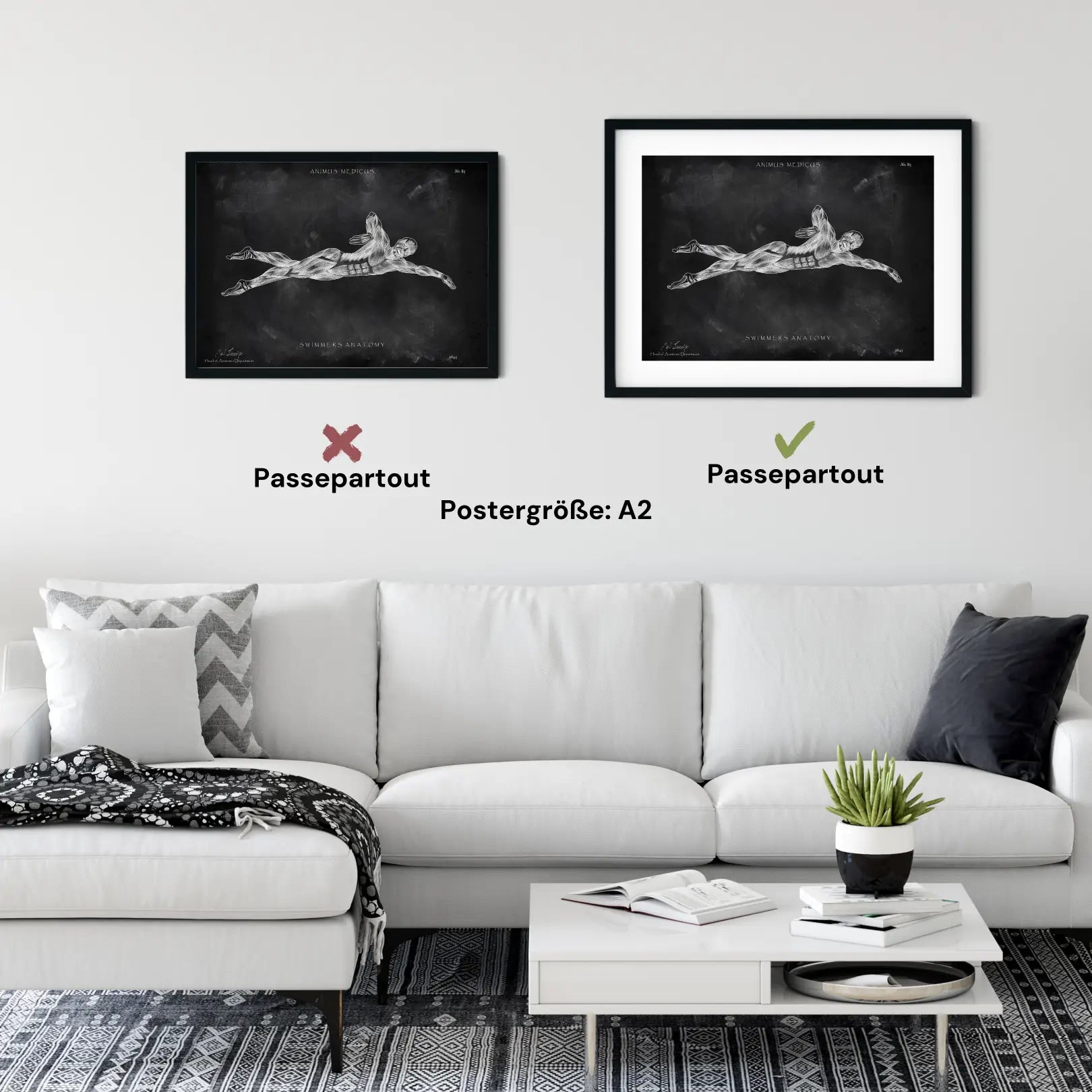 Schwimmen Anatomie Poster - Chalkboard - Animus Medicus GmbH