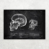 Zahnarzt Sammlung - Chalkboard - Animus Medicus GmbH