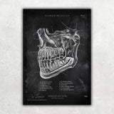 Zahnarzt Sammlung - Chalkboard - Animus Medicus GmbH