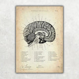 Neurologie bundel